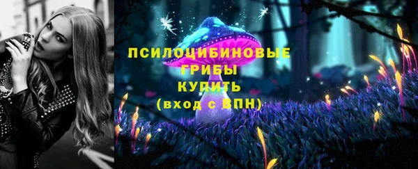 молекула духа Армянск