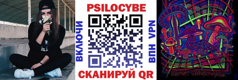 Псилоцибиновые грибы Cubensis Купить где Сурск